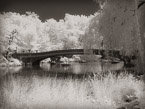 Central Park, New York #YNG-786.  Infrared Photograph,  Stretched and Gallery Wrapped, Limited Edition Archival Print on Canvas:  56 x 40 inches, $1590.  Custom Proportions and Sizes are Available.  For more information or to order please visit our ABOUT page or call us at 561-691-1110.