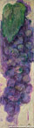 Blue Grapes  #SMR-002,  Original Acrylic on Canvas: 18  x  68 inches   $3000;  Stretched and Gallery Wrapped Limited Edition Archival Print on Canvas: 18 x 68 inches   $1530.