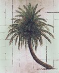 Date Palm  #GSL-024,  Original Acrylic on Silverleaf on Canvas: 48  x  60 inches   $3600;  Stretched and Gallery Wrapped Limited Edition Archival Print on Canvas: 40 x 50 inches   $1560.  Custom  sizes, colors, and commissions are also available.  For more information or to order, please visit our ABOUT page or call us at   561-691-1110.