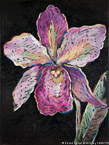 Orchid  #MSC-080,  Original Acrylic on Canvas: 30  x  40 inches   $2400;  Stretched and Gallery Wrapped Limited Edition Archival Print on Canvas: 40 x 56 inches   $1590.  Custom  sizes, colors, and commissions are also available.  For more information or to order, please visit our ABOUT page or call us at   561-691-1110.