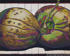 Two Coconuts  #MSC-092,  Original Acrylic on Canvas: 48  x  60 inches   $4200;  Stretched and Gallery Wrapped Limited Edition Archival Print on Canvas: 40 x 50 inches   $1560.  Custom  sizes, colors, and commissions are also available.  For more information or to order, please visit our ABOUT page or call us at   561-691-1110.