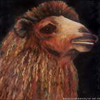 Camel  #BBB-088,  Original Acrylic on Canvas: 65  x  65 inches   $11700;  Stretched and Gallery Wrapped Limited Edition Archival Print on Canvas: 40 x 40 inches   $1500.  Custom  sizes, colors, and commissions are also available.  For more information or to order, please visit our ABOUT page or call us at   561-691-1110.