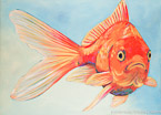 Goldfish  #ANF-026,  Original Acrylic on Canvas: 48  x  68 inches   $10800;  Stretched and Gallery Wrapped Limited Edition Archival Print on Canvas: 40 x 56 inches   $1590.  Custom  sizes, colors, and commissions are also available.  For more information or to order, please visit our ABOUT page or call us at   561-691-1110.