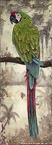Green Parrot  #NFR-005,  Original Acrylic on Canvas: 24  x 68 inches   $2700-,  Sold;  Stretched and Gallery Wrapped Limited Edition Archival Print on Canvas: 24  x 68 inches     $1560-.