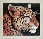 Leopard  #BBB-077,  Original Acrylic on Canvas: 68  x  72 inches   $11700;  Stretched and Gallery Wrapped Limited Edition Archival Print on Canvas: 40 x 44 inches   $1530.  Custom  sizes, colors, and commissions are also available.  For more information or to order, please visit our ABOUT page or call us at   561-691-1110.