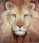 Lion  #BBB-016,  Original Acrylic on Canvas: 65  x  72 inches   $11700;  Stretched and Gallery Wrapped Limited Edition Archival Print on Canvas: 40 x 44 inches   $1530.  Custom  sizes, colors, and commissions are also available.  For more information or to order, please visit our ABOUT page or call us at   561-691-1110.