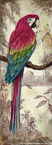 Red Parrot  #NFR-004,  Original Acrylic on Canvas: 24  x  68 inches   $2700;  Stretched and Gallery Wrapped Limited Edition Archival Print on Canvas: 24 x 68 inches   $1560.