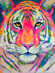 Tiger  #ANF-071,  Original Acrylic on Canvas: 52  x  68 inches   $11700;  Stretched and Gallery Wrapped Limited Edition Archival Print on Canvas: 40 x 56 inches   $1590.  Custom  sizes, colors, and commissions are also available.  For more information or to order, please visit our ABOUT page or call us at   561-691-1110.