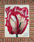 Parrot Tulip  #FPF-022,  Original Acrylic on Canvas: 48  x  60 inches   $2250;  Stretched and Gallery Wrapped Limited Edition Archival Print on Canvas: 40 x 50 inches   $1560.  Custom  sizes, colors, and commissions are also available.  For more information or to order, please visit our ABOUT page or call us at   561-691-1110.