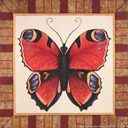 Butterfly  #FBI-015,  Original Acrylic on Canvas: 48  x  48 inches   $2700;  Stretched and Gallery Wrapped Limited Edition Archival Print on Canvas: 40 x 40 inches   $1500.  Custom  sizes, colors, and commissions are also available.  For more information or to order, please visit our ABOUT page or call us at   561-691-1110.