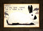 Rabbit  #FAN-008,  Original Acrylic on Canvas: 48  x  68 inches   $2950;  Stretched and Gallery Wrapped Limited Edition Archival Print on Canvas: 40 x 56 inches   $1590.  Custom  sizes, colors, and commissions are also available.  For more information or to order, please visit our ABOUT page or call us at   561-691-1110.