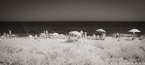 Tropical Beach, Palm Beach #YNS-142.  Infrared Photograph,  Stretched and Gallery Wrapped, Limited Edition Archival Print on Canvas:  68 x 30 inches, $1560.  Custom Proportions and Sizes are Available.  For more information or to order please visit our ABOUT page or call us at 561-691-1110.