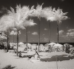 Tropical Beach, Fort Lauderdale #YNS-145.  Infrared Photograph,  Stretched and Gallery Wrapped, Limited Edition Archival Print on Canvas:  40 x 44 inches, $1530.  Custom Proportions and Sizes are Available.  For more information or to order please visit our ABOUT page or call us at 561-691-1110.