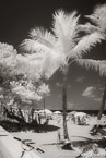 Tropical Beach, Fort Lauderdale #YNS-147.  Infrared Photograph,  Stretched and Gallery Wrapped, Limited Edition Archival Print on Canvas:  40 x 60 inches, $1590.  Custom Proportions and Sizes are Available.  For more information or to order please visit our ABOUT page or call us at 561-691-1110.
