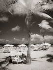 Tropical Beach, Fort Lauderdale #YNS-148.  Infrared Photograph,  Stretched and Gallery Wrapped, Limited Edition Archival Print on Canvas:  40 x 56 inches, $1590.  Custom Proportions and Sizes are Available.  For more information or to order please visit our ABOUT page or call us at 561-691-1110.