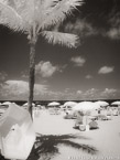 Tropical Beach, Fort Lauderdale #YNS-151.  Infrared Photograph,  Stretched and Gallery Wrapped, Limited Edition Archival Print on Canvas:  40 x 56 inches, $1590.  Custom Proportions and Sizes are Available.  For more information or to order please visit our ABOUT page or call us at 561-691-1110.