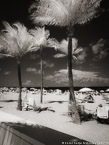 Tropical Beach, Fort Lauderdale #YNS-155.  Infrared Photograph,  Stretched and Gallery Wrapped, Limited Edition Archival Print on Canvas:  40 x 56 inches, $1590.  Custom Proportions and Sizes are Available.  For more information or to order please visit our ABOUT page or call us at 561-691-1110.