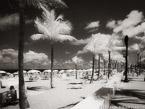 Tropical Beach, Fort Lauderdale #YNS-157.  Infrared Photograph,  Stretched and Gallery Wrapped, Limited Edition Archival Print on Canvas:  56 x 40 inches, $1590.  Custom Proportions and Sizes are Available.  For more information or to order please visit our ABOUT page or call us at 561-691-1110.