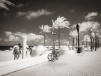 Tropical Beach, Fort Lauderdale #YNS-160.  Infrared Photograph,  Stretched and Gallery Wrapped, Limited Edition Archival Print on Canvas:  56 x 40 inches, $1590.  Custom Proportions and Sizes are Available.  For more information or to order please visit our ABOUT page or call us at 561-691-1110.
