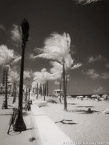 Tropical Beach, Fort Lauderdale #YNS-162.  Infrared Photograph,  Stretched and Gallery Wrapped, Limited Edition Archival Print on Canvas:  40 x 56 inches, $1590.  Custom Proportions and Sizes are Available.  For more information or to order please visit our ABOUT page or call us at 561-691-1110.