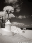 Tropical Beach, Fort Lauderdale #YNS-168.  Infrared Photograph,  Stretched and Gallery Wrapped, Limited Edition Archival Print on Canvas:  40 x 50 inches, $1560.  Custom Proportions and Sizes are Available.  For more information or to order please visit our ABOUT page or call us at 561-691-1110.