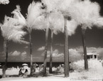 Tropical Beach, Fort Lauderdale #YNS-172.  Infrared Photograph,  Stretched and Gallery Wrapped, Limited Edition Archival Print on Canvas:  50 x 40 inches, $1560.  Custom Proportions and Sizes are Available.  For more information or to order please visit our ABOUT page or call us at 561-691-1110.