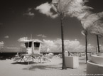 Tropical Beach, Fort Lauderdale #YNS-173.  Infrared Photograph,  Stretched and Gallery Wrapped, Limited Edition Archival Print on Canvas:  56 x 40 inches, $1590.  Custom Proportions and Sizes are Available.  For more information or to order please visit our ABOUT page or call us at 561-691-1110.