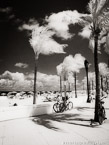 Tropical Beach, Fort Lauderdale #YNS-176.  Infrared Photograph,  Stretched and Gallery Wrapped, Limited Edition Archival Print on Canvas:  40 x 56 inches, $1590.  Custom Proportions and Sizes are Available.  For more information or to order please visit our ABOUT page or call us at 561-691-1110.