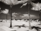 Tropical Beach, Fort Lauderdale #YNS-178.  Infrared Photograph,  Stretched and Gallery Wrapped, Limited Edition Archival Print on Canvas:  56 x 40 inches, $1590.  Custom Proportions and Sizes are Available.  For more information or to order please visit our ABOUT page or call us at 561-691-1110.