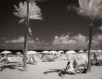 Tropical Beach, Fort Lauderdale #YNS-179.  Infrared Photograph,  Stretched and Gallery Wrapped, Limited Edition Archival Print on Canvas:  50 x 40 inches, $1560.  Custom Proportions and Sizes are Available.  For more information or to order please visit our ABOUT page or call us at 561-691-1110.