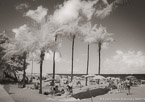 Tropical Beach, Fort Lauderdale #YNS-182.  Infrared Photograph,  Stretched and Gallery Wrapped, Limited Edition Archival Print on Canvas:  56 x 40 inches, $1590.  Custom Proportions and Sizes are Available.  For more information or to order please visit our ABOUT page or call us at 561-691-1110.
