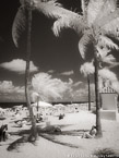 Tropical Beach, Fort Lauderdale #YNS-184.  Infrared Photograph,  Stretched and Gallery Wrapped, Limited Edition Archival Print on Canvas:  40 x 56 inches, $1590.  Custom Proportions and Sizes are Available.  For more information or to order please visit our ABOUT page or call us at 561-691-1110.
