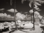 Tropical Beach, Fort Lauderdale #YNS-185.  Infrared Photograph,  Stretched and Gallery Wrapped, Limited Edition Archival Print on Canvas:  56 x 40 inches, $1590.  Custom Proportions and Sizes are Available.  For more information or to order please visit our ABOUT page or call us at 561-691-1110.