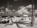 Tropical Beach, Fort Lauderdale #YNS-187.  Infrared Photograph,  Stretched and Gallery Wrapped, Limited Edition Archival Print on Canvas:  56 x 40 inches, $1590.  Custom Proportions and Sizes are Available.  For more information or to order please visit our ABOUT page or call us at 561-691-1110.