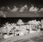 Tropical Beach, Fort Lauderdale #YNS-190.  Infrared Photograph,  Stretched and Gallery Wrapped, Limited Edition Archival Print on Canvas:  40 x 40 inches, $1500.  Custom Proportions and Sizes are Available.  For more information or to order please visit our ABOUT page or call us at 561-691-1110.