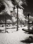 Tropical Beach, Fort Lauderdale #YNS-195.  Infrared Photograph,  Stretched and Gallery Wrapped, Limited Edition Archival Print on Canvas:  40 x 60 inches, $1590.  Custom Proportions and Sizes are Available.  For more information or to order please visit our ABOUT page or call us at 561-691-1110.