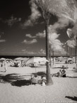 Tropical Beach, Fort Lauderdale #YNS-196.  Infrared Photograph,  Stretched and Gallery Wrapped, Limited Edition Archival Print on Canvas:  40 x 56 inches, $1590.  Custom Proportions and Sizes are Available.  For more information or to order please visit our ABOUT page or call us at 561-691-1110.