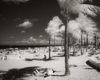 Tropical Beach, Fort Lauderdale #YNS-200.  Infrared Photograph,  Stretched and Gallery Wrapped, Limited Edition Archival Print on Canvas:  50 x 40 inches, $1560.  Custom Proportions and Sizes are Available.  For more information or to order please visit our ABOUT page or call us at 561-691-1110.