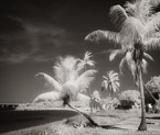 Tropical Beach, Florida Keys #YNS-304.  Infrared Photograph,  Stretched and Gallery Wrapped, Limited Edition Archival Print on Canvas:  48 x 40 inches, $1560.  Custom Proportions and Sizes are Available.  For more information or to order please visit our ABOUT page or call us at 561-691-1110.