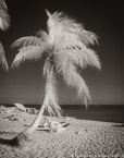 Tropical Beach, Key West #YNS-316.  Infrared Photograph,  Stretched and Gallery Wrapped, Limited Edition Archival Print on Canvas:  40 x 50 inches, $1560.  Custom Proportions and Sizes are Available.  For more information or to order please visit our ABOUT page or call us at 561-691-1110.