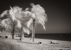 Tropical Beach, Key West #YNS-326.  Infrared Photograph,  Stretched and Gallery Wrapped, Limited Edition Archival Print on Canvas:  56 x 40 inches, $1590.  Custom Proportions and Sizes are Available.  For more information or to order please visit our ABOUT page or call us at 561-691-1110.
