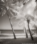 Tropical Beach, Key West #YNS-330.  Infrared Photograph,  Stretched and Gallery Wrapped, Limited Edition Archival Print on Canvas:  40 x 48 inches, $1560.  Custom Proportions and Sizes are Available.  For more information or to order please visit our ABOUT page or call us at 561-691-1110.