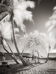 Tropical Beach, Key West #YNS-335.  Infrared Photograph,  Stretched and Gallery Wrapped, Limited Edition Archival Print on Canvas:  40 x 56 inches, $1590.  Custom Proportions and Sizes are Available.  For more information or to order please visit our ABOUT page or call us at 561-691-1110.