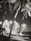 Tropical Beach, Key West #YNS-336.  Infrared Photograph,  Stretched and Gallery Wrapped, Limited Edition Archival Print on Canvas:  40 x 56 inches, $1590.  Custom Proportions and Sizes are Available.  For more information or to order please visit our ABOUT page or call us at 561-691-1110.