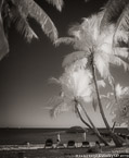 Tropical Beach, Key West #YNS-337.  Infrared Photograph,  Stretched and Gallery Wrapped, Limited Edition Archival Print on Canvas:  40 x 50 inches, $1560.  Custom Proportions and Sizes are Available.  For more information or to order please visit our ABOUT page or call us at 561-691-1110.
