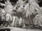 Tropical Beach, Key West #YNS-340.  Infrared Photograph,  Stretched and Gallery Wrapped, Limited Edition Archival Print on Canvas:  56 x 40 inches, $1590.  Custom Proportions and Sizes are Available.  For more information or to order please visit our ABOUT page or call us at 561-691-1110.