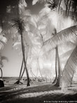 Tropical Beach, Key West #YNS-344.  Infrared Photograph,  Stretched and Gallery Wrapped, Limited Edition Archival Print on Canvas:  40 x 56 inches, $1590.  Custom Proportions and Sizes are Available.  For more information or to order please visit our ABOUT page or call us at 561-691-1110.