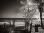 Tropical Beach, Key West #YNS-348.  Infrared Photograph,  Stretched and Gallery Wrapped, Limited Edition Archival Print on Canvas:  56 x 40 inches, $1590.  Custom Proportions and Sizes are Available.  For more information or to order please visit our ABOUT page or call us at 561-691-1110.