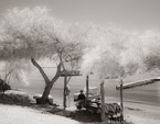 Beach , Limassol Cyprus #YNS-078.  Infrared Photograph,  Stretched and Gallery Wrapped, Limited Edition Archival Print on Canvas:  50 x 40 inches, $1560.  Custom Proportions and Sizes are Available.  For more information or to order please visit our ABOUT page or call us at 561-691-1110.