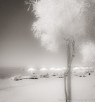 Beach , Limassol Cyprus #YNS-088.  Infrared Photograph,  Stretched and Gallery Wrapped, Limited Edition Archival Print on Canvas:  40 x 44 inches, $1530.  Custom Proportions and Sizes are Available.  For more information or to order please visit our ABOUT page or call us at 561-691-1110.